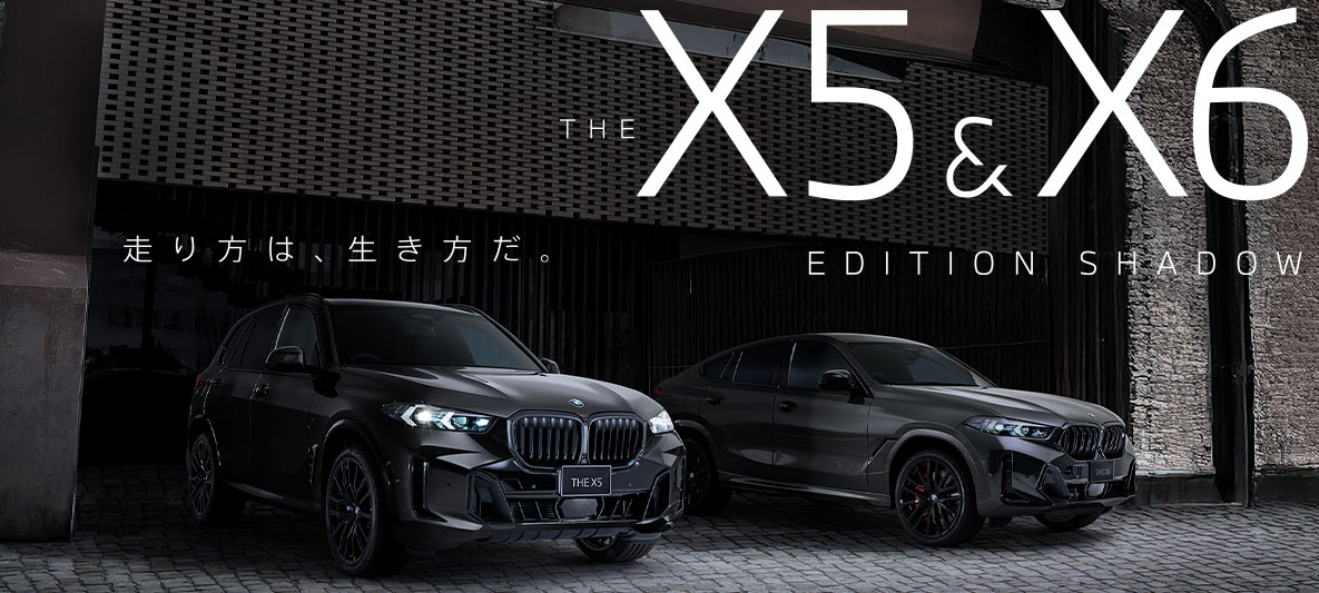 X5 X6
