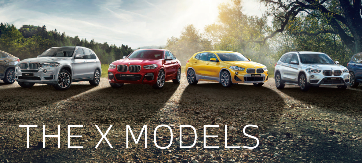THE X MODELS